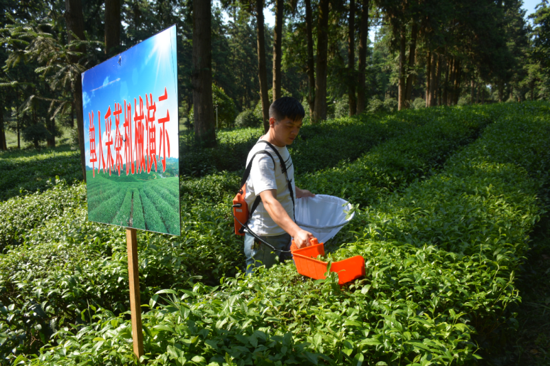 微信图片_2025-09-25_214926_170(1).png
