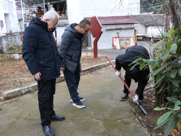 采集银杏根际微生物.JPG