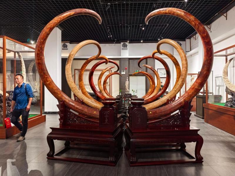 图片1(1).jpg