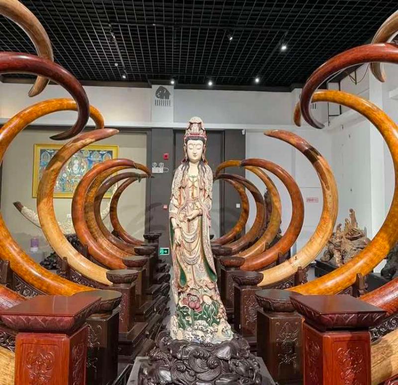 微信图片_20260813104805_8_529(1).jpg